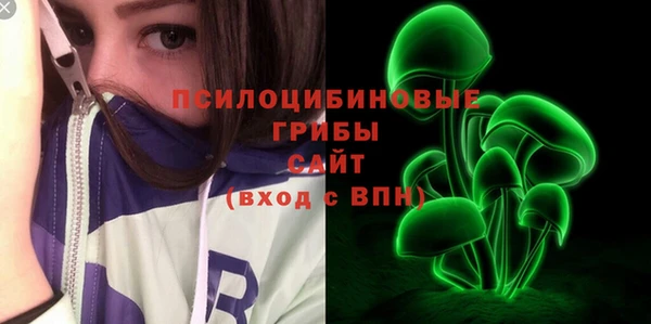 PSILOCYBIN Армянск
