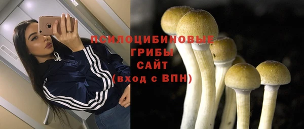 apvp Тихвин