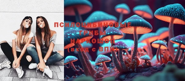 таблы Осташков