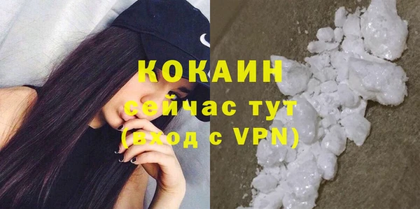 ПСИЛОЦИБИНОВЫЕ ГРИБЫ Осинники