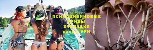 не бодяженный Арсеньев