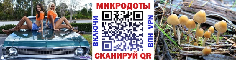 Псилоцибиновые грибы Psilocybe Усолье